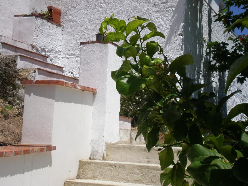 Apartamentos Rurales El Canuelo De Carcabuey Bilik gambar